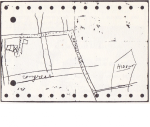 image 25
