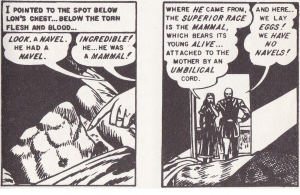 image 31