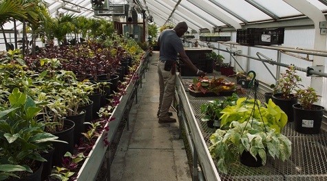 The floor recognizes the hydrangea. 