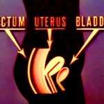 Disney presents your anatomy