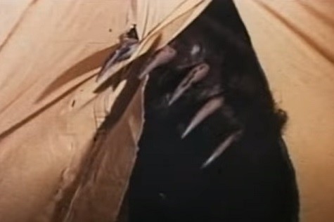 You ever see the scary movie about Grizzly? It gets in tents.