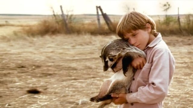 Yup, that's talking to a badger, all right!