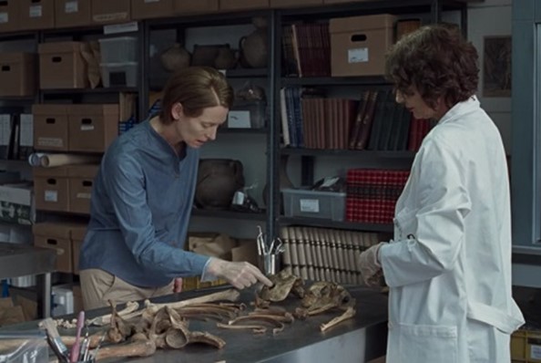 Later, they archive bone.