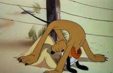 So what is Pluto doing here?
