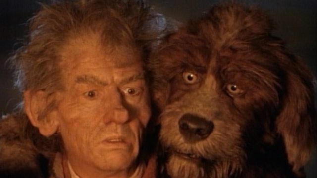 A man and his giant Muppet dog