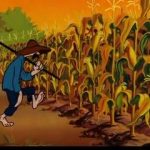 The relevant cornfield