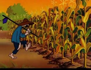 The relevant cornfield