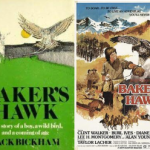 Book cover and movie poster for Baker's Hawk