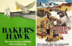 Book cover and movie poster for Baker's Hawk